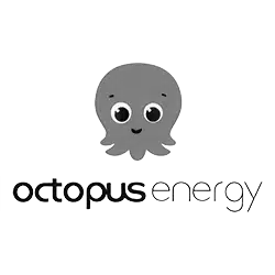 OctopusEnergy